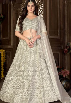 Embroidered Net Lehenga in Beige