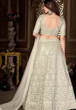 Embroidered Net Lehenga in Beige