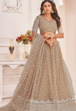 Embroidered Net Lehenga in Beige