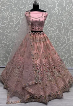 Embroidered Net Lehenga in Peach