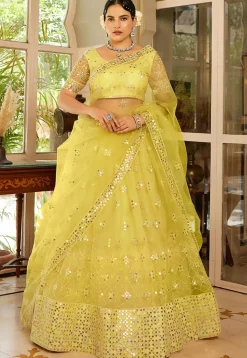 Embroidered Net Lehenga in Yellow