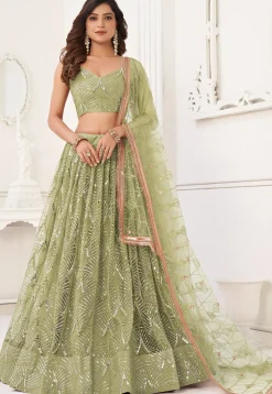 Embroidered Net Lehenga in Light Olive Green