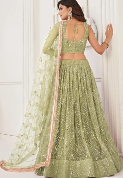 Embroidered Net Lehenga in Light Olive Green