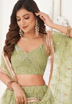 Embroidered Net Lehenga in Light Olive Green