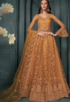 Embroidered Net Lehenga in Orange