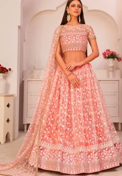 Embroidered Net Lehenga in Peach
