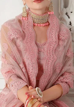 Embroidered Net Lehenga in Pink