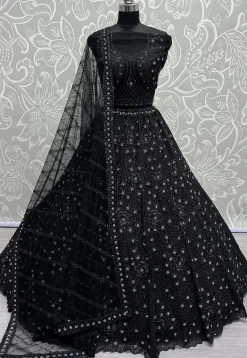 Embroidered Net Lehenga in Black