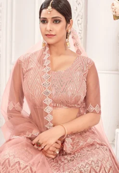 Embroidered Net Lehenga in Peach