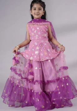 Embroidered Net Lehenga in Pink and Purple