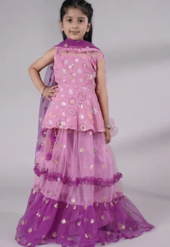 Embroidered Net Lehenga in Pink and Purple