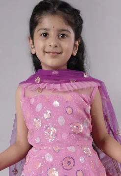 Embroidered Net Lehenga in Pink and Purple