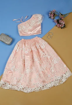 Embroidered Net Lehenga in Peach
