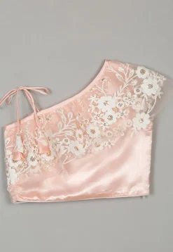 Embroidered Net Lehenga in Peach