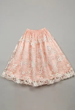 Embroidered Net Lehenga in Peach