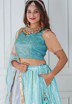 Embroidered Net Lehenga in Sky Blue