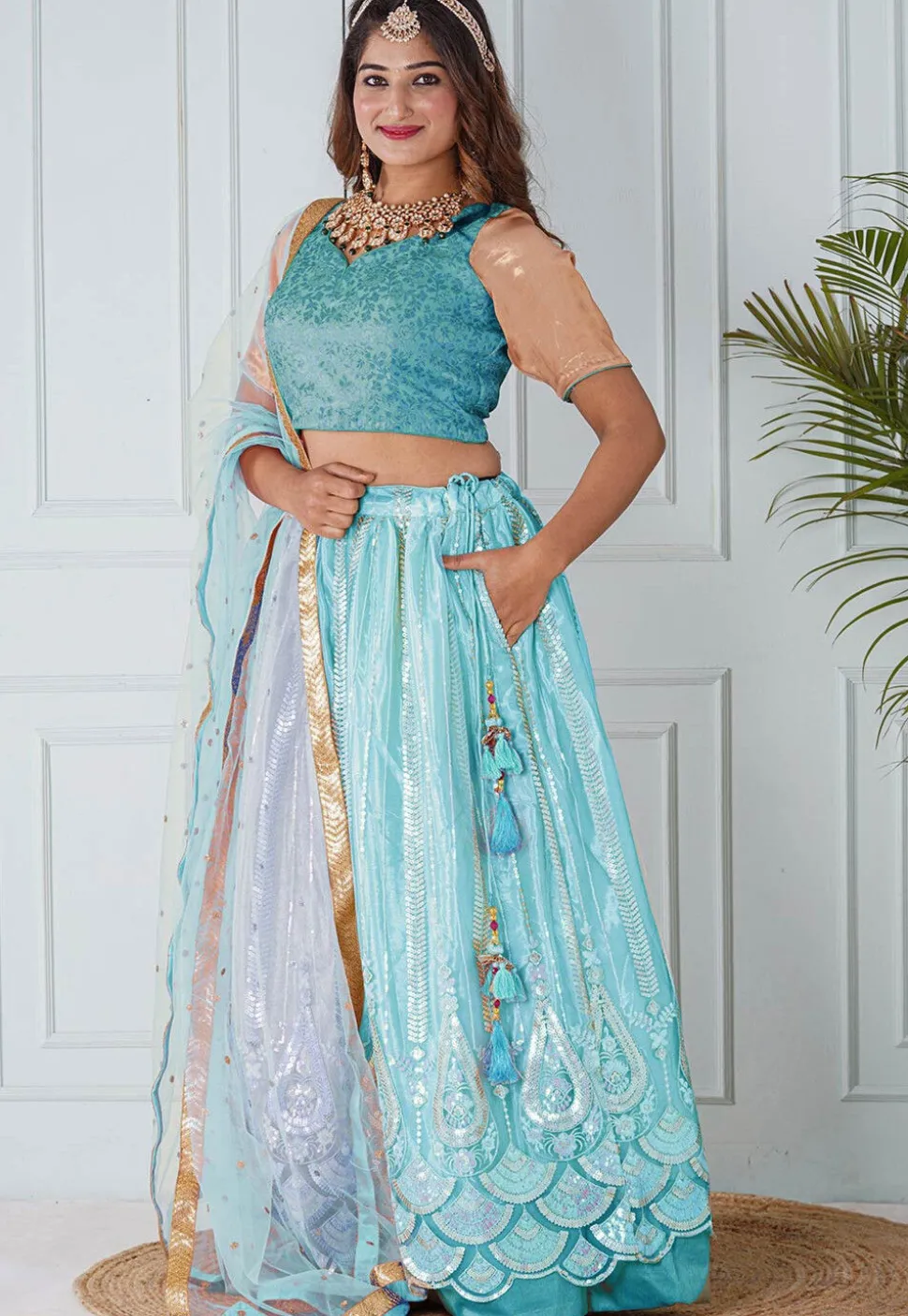 Embroidered Net Lehenga in Sky Blue