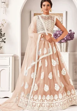 Embroidered Net Lehenga in Peach