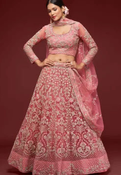 Embroidered Net Lehenga in Pink