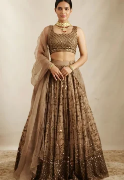 Embroidered Net Lehenga in Brown