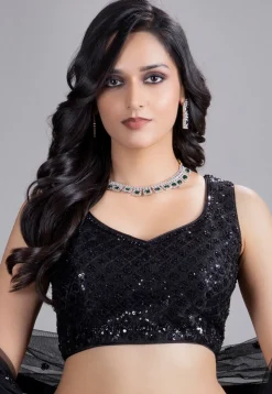 Embroidered Net Lehenga in Black