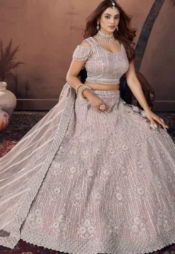 Embroidered Net Lehenga in Pink