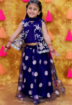 Embroidered Net Lehenga in Navy Blue