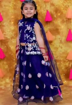 Embroidered Net Lehenga in Navy Blue