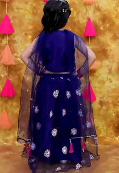 Embroidered Net Lehenga in Navy Blue