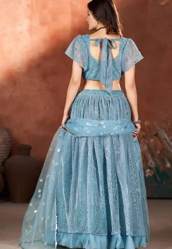 Embroidered Net Lehenga in Blue