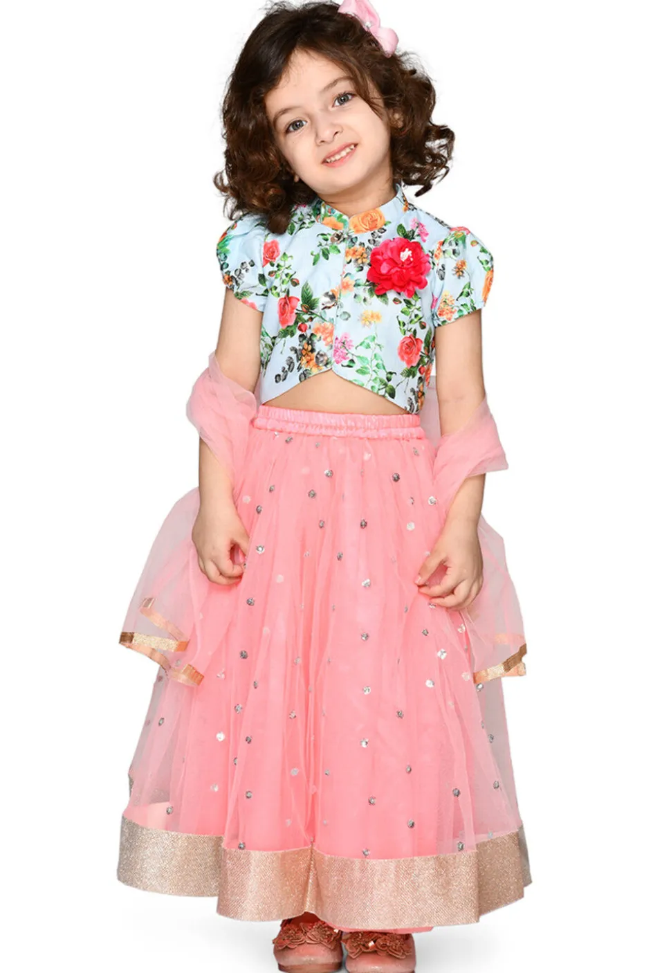 Embroidered Net Lehenga in Baby Pink