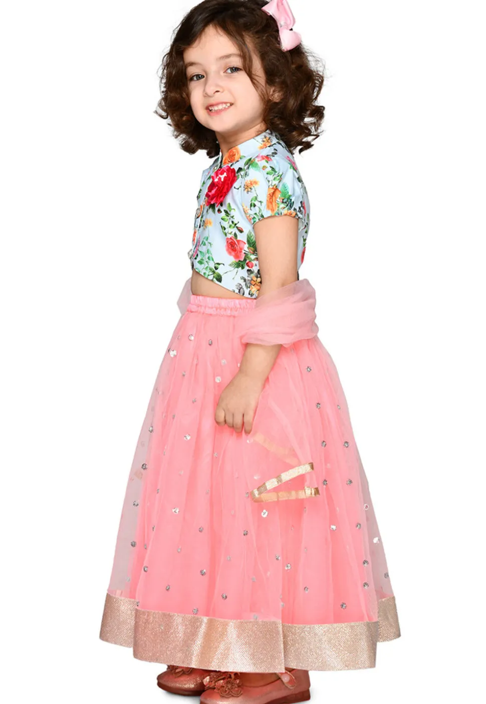Embroidered Net Lehenga in Baby Pink