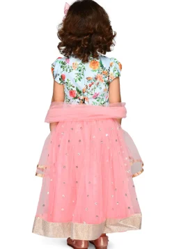 Embroidered Net Lehenga in Baby Pink