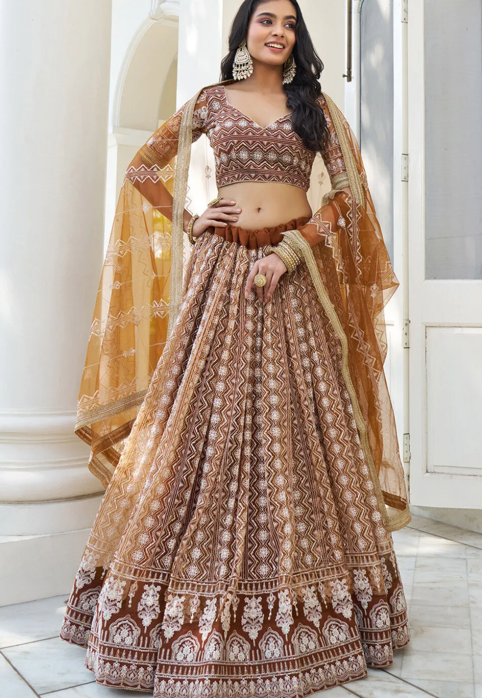 Embroidered Net Lehenga in Brown