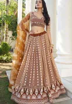 Embroidered Net Lehenga in Brown