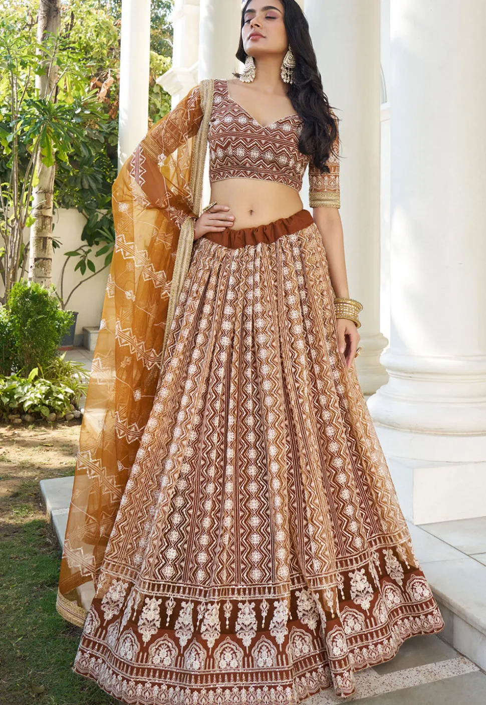 Embroidered Net Lehenga in Brown