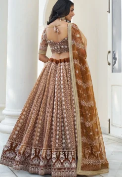 Embroidered Net Lehenga in Brown