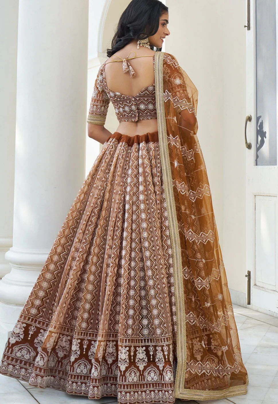 Embroidered Net Lehenga in Brown