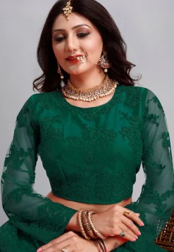Embroidered Net Lehenga in Green