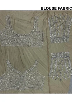 Embroidered Net Lehenga in Beige