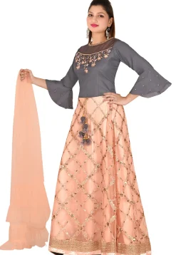 Embroidered Net Lehenga in Peach