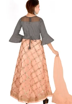 Embroidered Net Lehenga in Peach