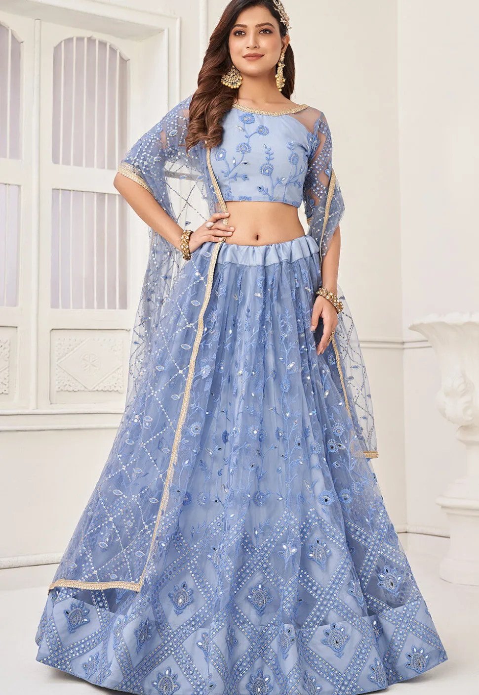 Embroidered Net Lehenga in Blue