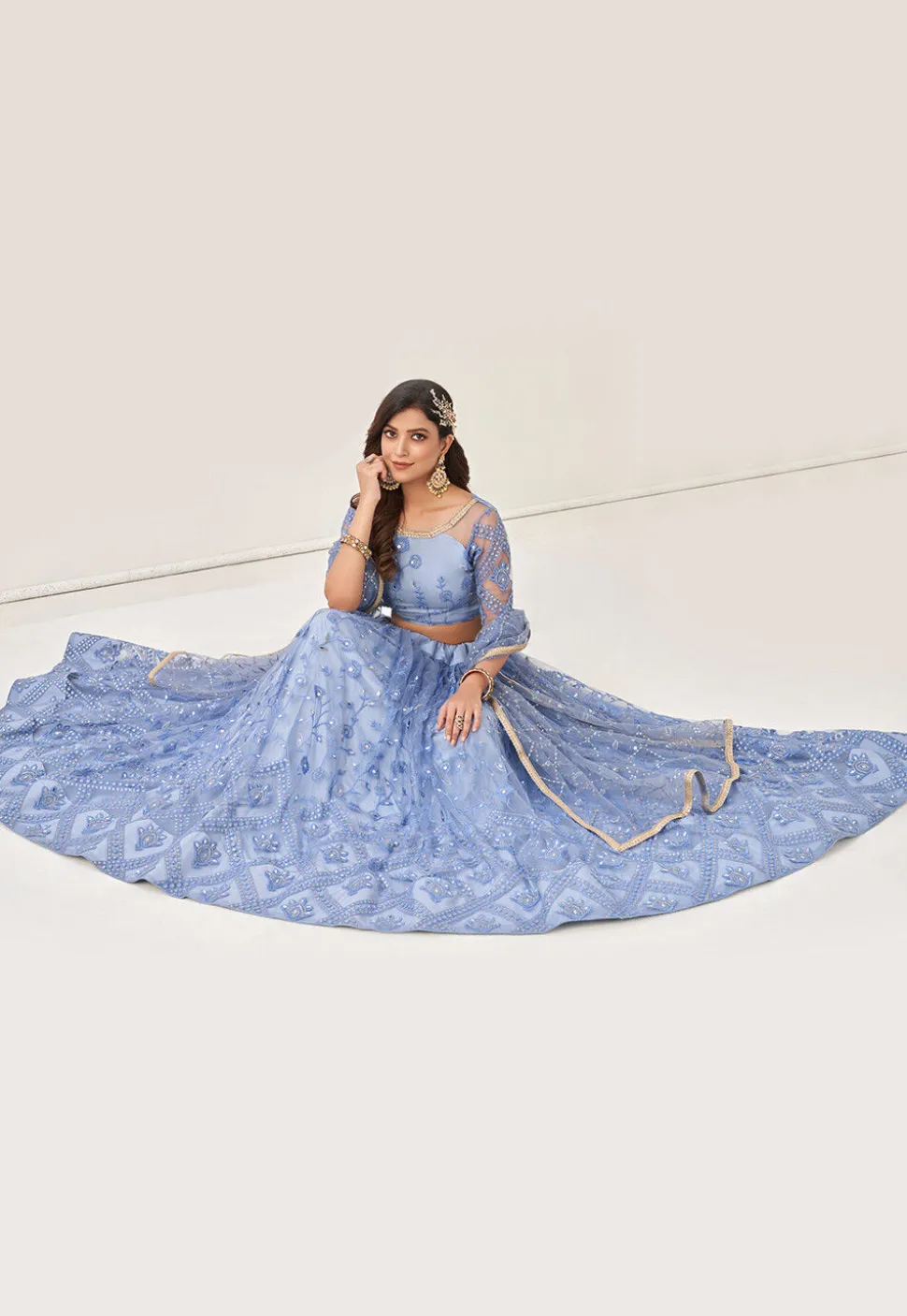 Embroidered Net Lehenga in Blue