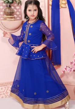 Embroidered Net Lehenga in Royal Blue