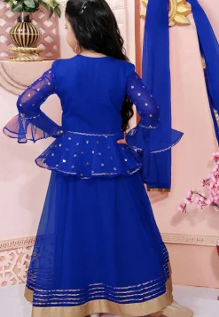 Embroidered Net Lehenga in Royal Blue