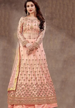 Embroidered Net Lehenga in Peach