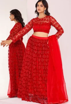 Embroidered Net Lehenga in Red