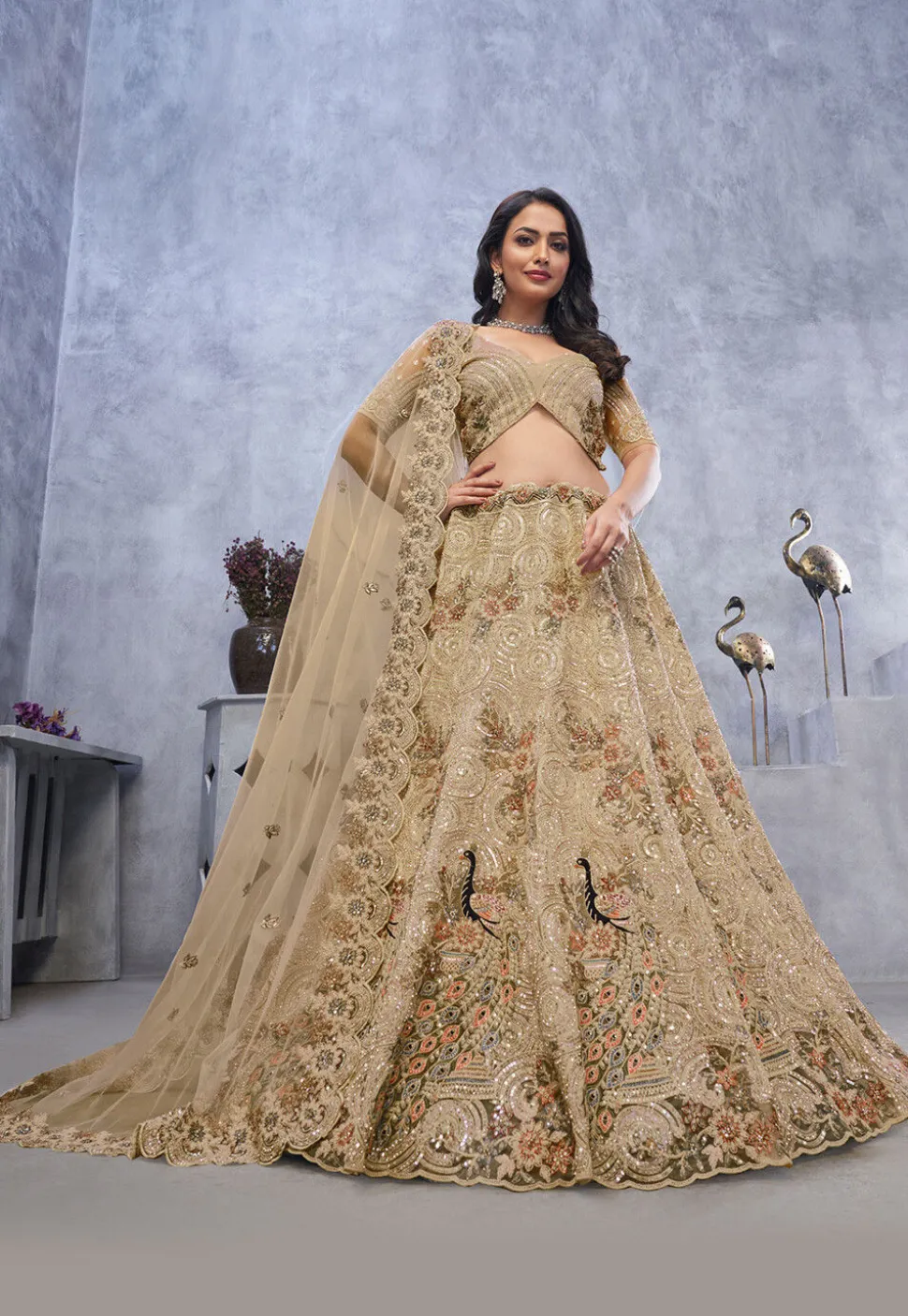 Embroidered Net Lehenga in Beige