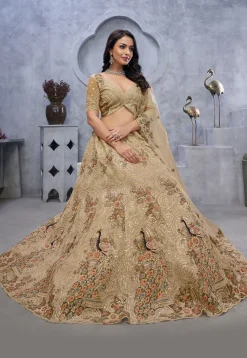 Embroidered Net Lehenga in Beige